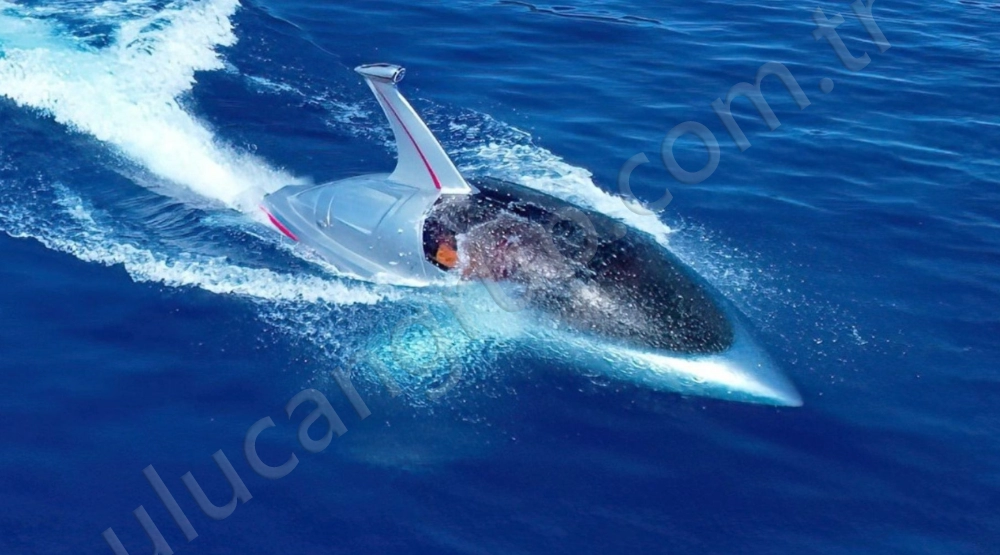 Shark Kiralama Hizmeti